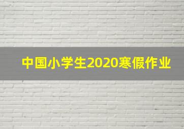 中国小学生2020寒假作业