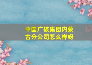 中国广核集团内蒙古分公司怎么样呀