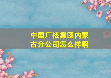 中国广核集团内蒙古分公司怎么样啊