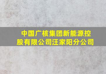 中国广核集团新能源控股有限公司汪家阳分公司