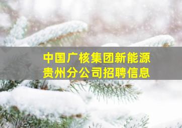 中国广核集团新能源贵州分公司招聘信息