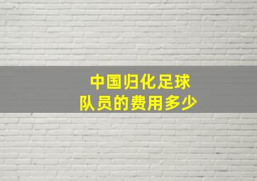 中国归化足球队员的费用多少