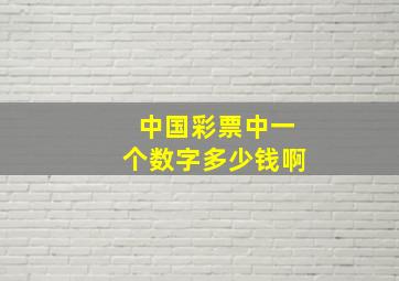 中国彩票中一个数字多少钱啊