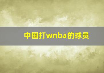 中国打wnba的球员