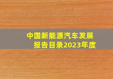 中国新能源汽车发展报告目录2023年度