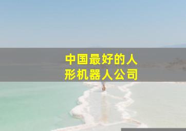 中国最好的人形机器人公司