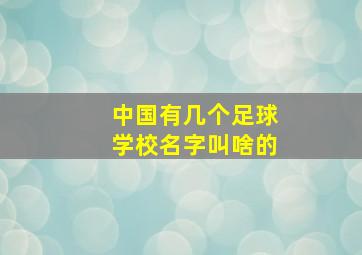 中国有几个足球学校名字叫啥的