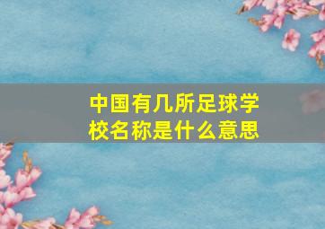 中国有几所足球学校名称是什么意思