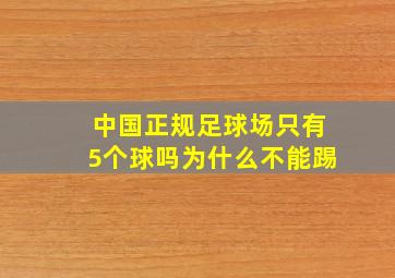 中国正规足球场只有5个球吗为什么不能踢