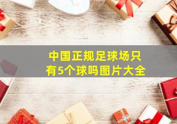 中国正规足球场只有5个球吗图片大全