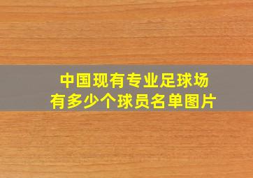 中国现有专业足球场有多少个球员名单图片