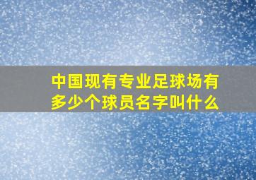 中国现有专业足球场有多少个球员名字叫什么