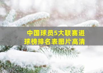 中国球员5大联赛进球榜排名表图片高清