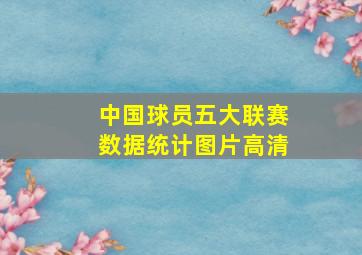 中国球员五大联赛数据统计图片高清