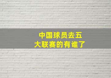 中国球员去五大联赛的有谁了