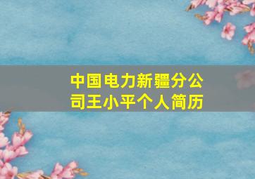 中国电力新疆分公司王小平个人简历