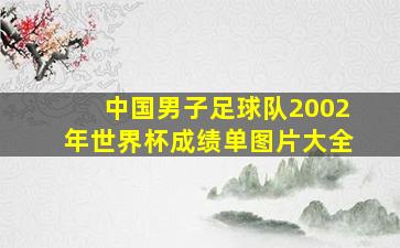 中国男子足球队2002年世界杯成绩单图片大全