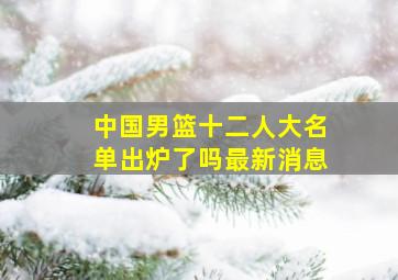 中国男篮十二人大名单出炉了吗最新消息