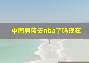 中国男篮去nba了吗现在