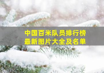 中国百米队员排行榜最新图片大全及名单