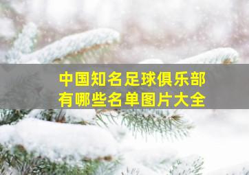 中国知名足球俱乐部有哪些名单图片大全