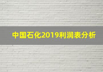 中国石化2019利润表分析