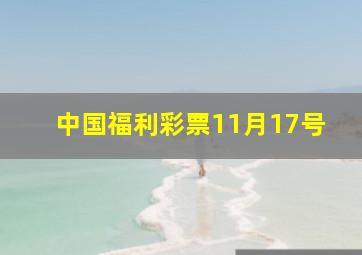 中国福利彩票11月17号