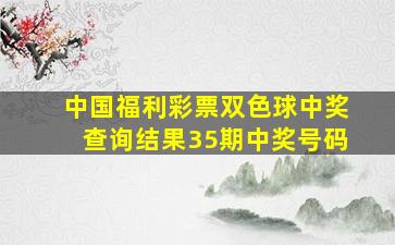 中国福利彩票双色球中奖查询结果35期中奖号码