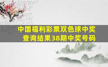 中国福利彩票双色球中奖查询结果38期中奖号码