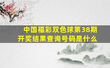 中国福彩双色球第38期开奖结果查询号码是什么