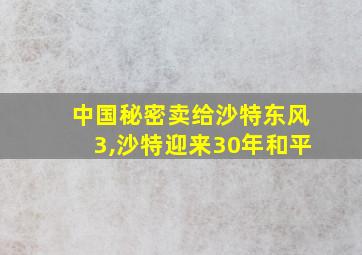 中国秘密卖给沙特东风3,沙特迎来30年和平