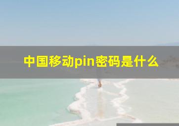 中国移动pin密码是什么