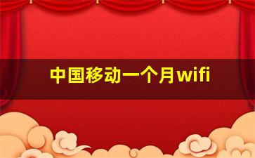 中国移动一个月wifi