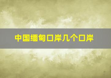 中国缅甸口岸几个口岸