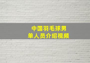 中国羽毛球男单人员介绍视频