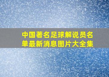 中国著名足球解说员名单最新消息图片大全集