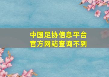 中国足协信息平台官方网站查询不到