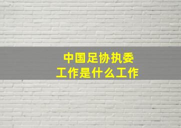 中国足协执委工作是什么工作