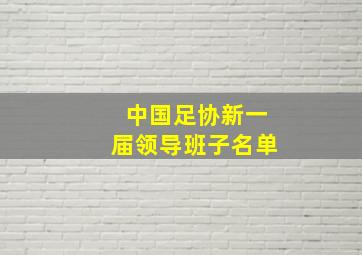 中国足协新一届领导班子名单