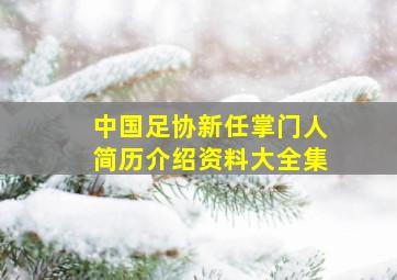 中国足协新任掌门人简历介绍资料大全集