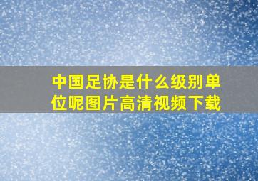 中国足协是什么级别单位呢图片高清视频下载