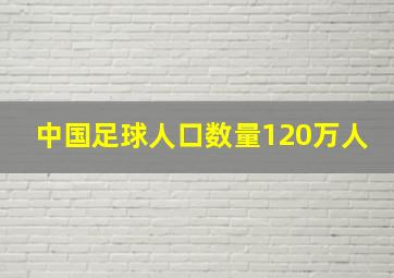 中国足球人口数量120万人