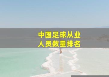 中国足球从业人员数量排名