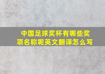 中国足球奖杯有哪些奖项名称呢英文翻译怎么写