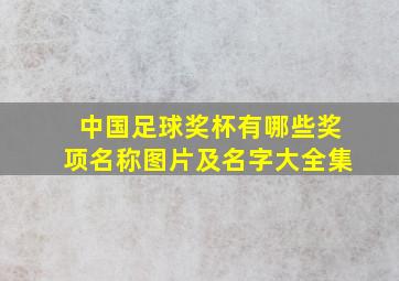 中国足球奖杯有哪些奖项名称图片及名字大全集