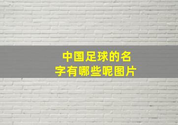 中国足球的名字有哪些呢图片