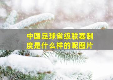 中国足球省级联赛制度是什么样的呢图片