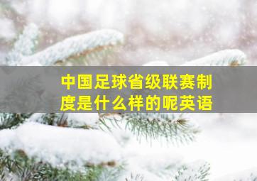 中国足球省级联赛制度是什么样的呢英语