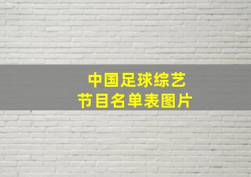 中国足球综艺节目名单表图片