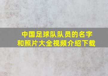 中国足球队队员的名字和照片大全视频介绍下载